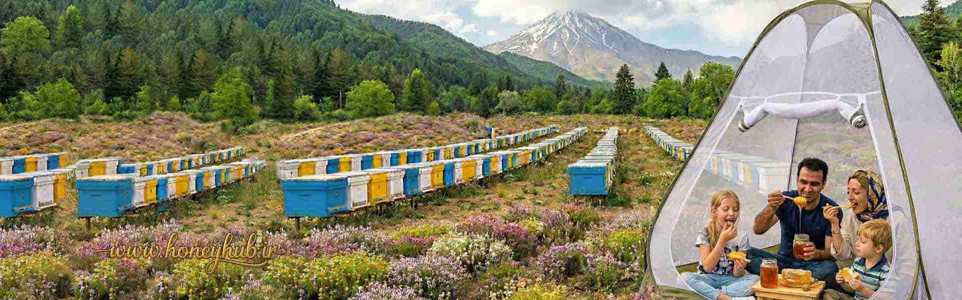 هانی هاب دروازه عسل ایران